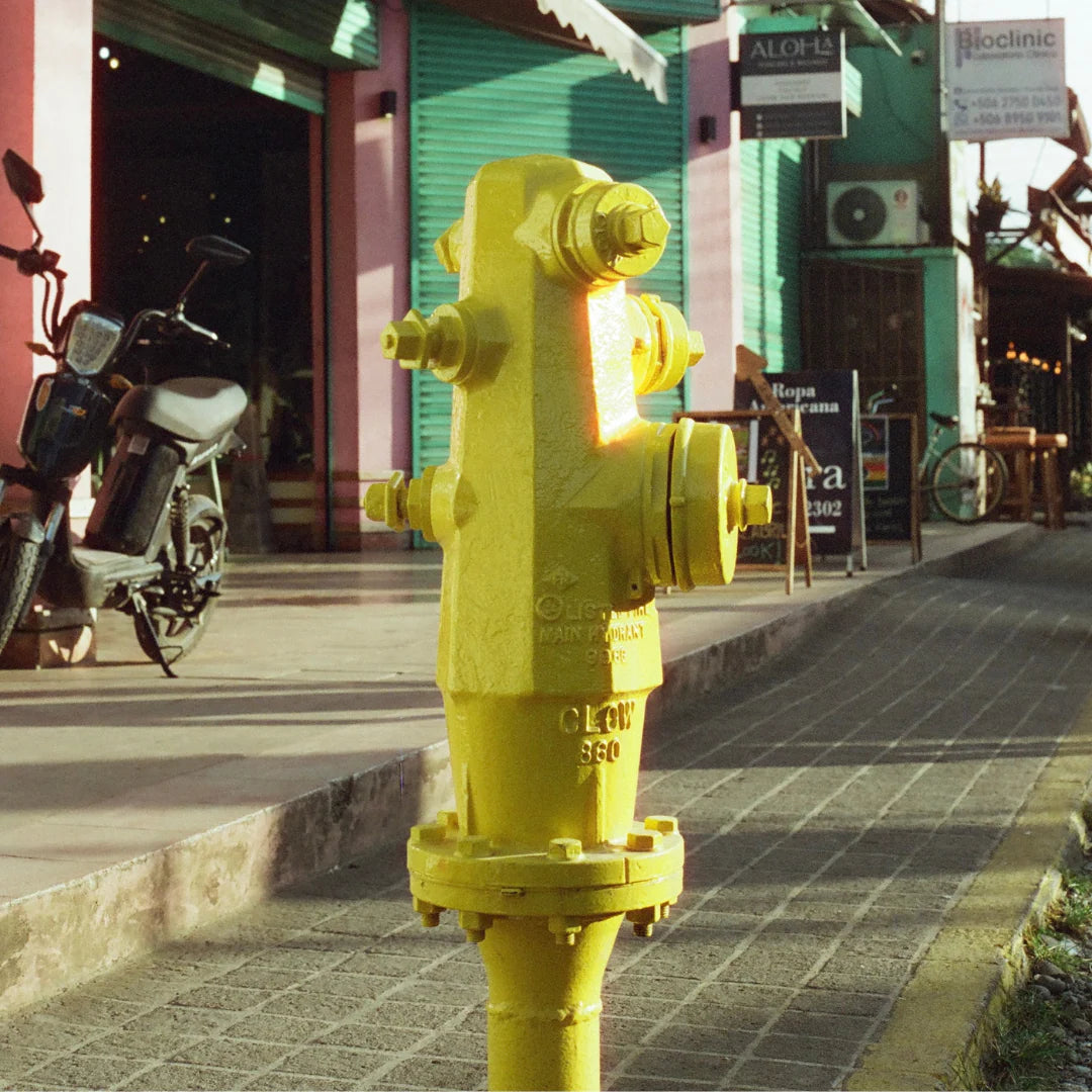 Candido 400 Colour Negative Film (35mm Roll Film, 36 Exposures)
