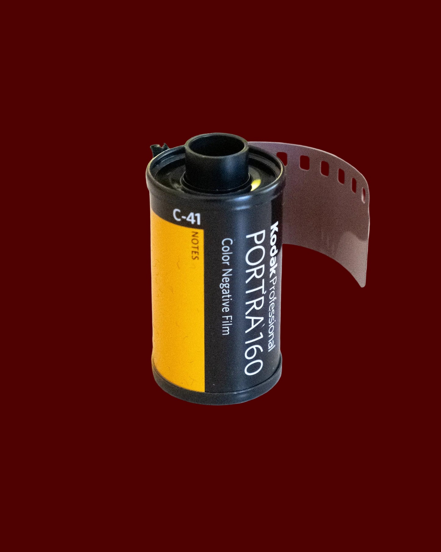 Portra 160 Color Negative Film (35mm Roll Film, 36 Exposures)